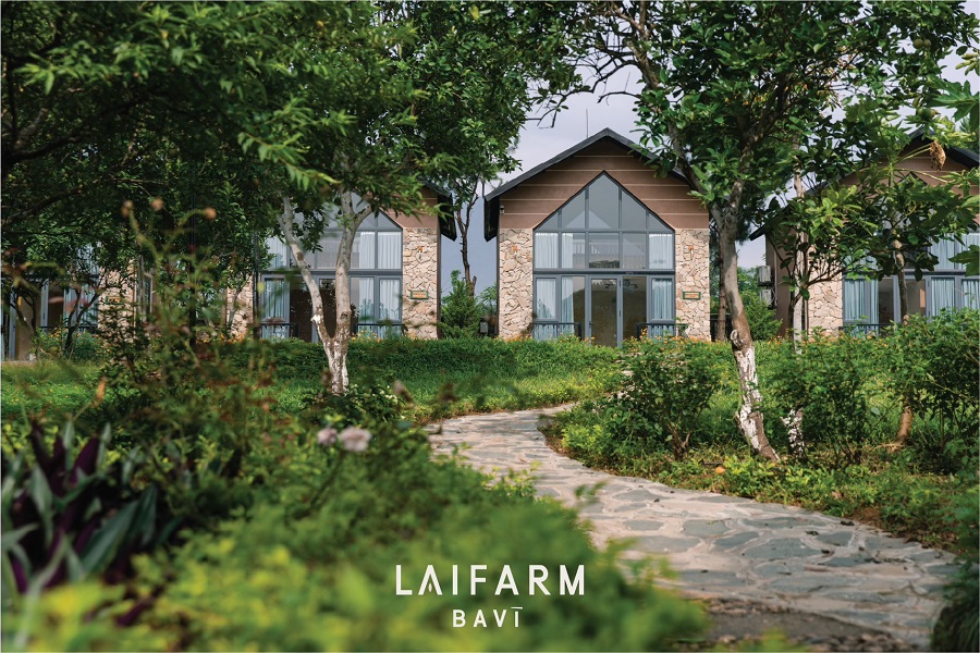 lai_farm